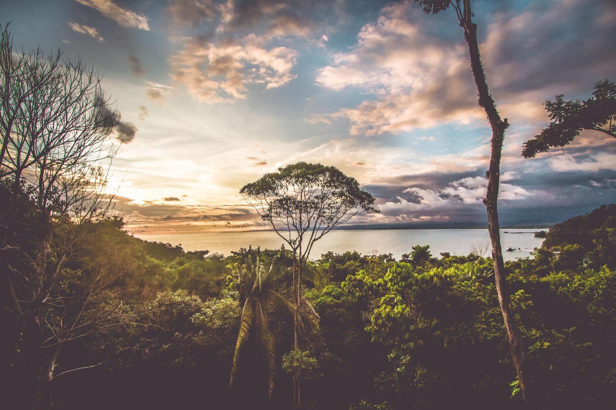 Issimo Suites Boutique Hotel & Spa - Adults Only Manuel Antonio Esterno foto